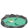 �r�̌�